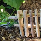 Wooden Fence