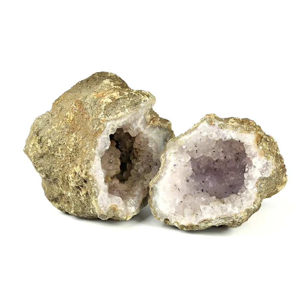 Earth Sciences
