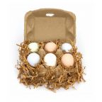 Hopscotch Chalk - Set of 6