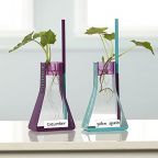 Hydroponics Kit