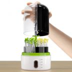 Plant Growth Experiment Lab