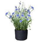 Felt Planter - 1 Gallon - Black