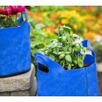 Felt Planter - 3 Gallon - Blue