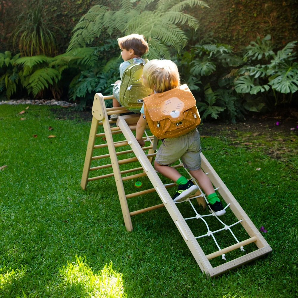 Climbing Toys