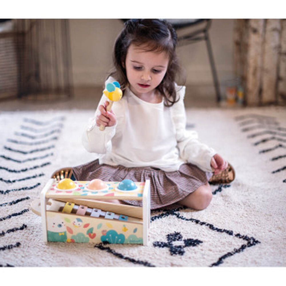 Musical Toys