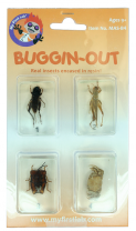 Bug Blocks - Cricket, Locust, Yellow Leaf Beetle, Crab