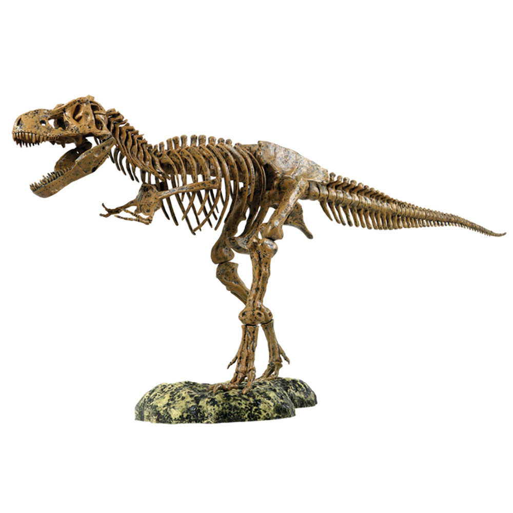 Dinosaur
