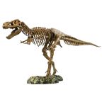 T-Rex Skeleton
