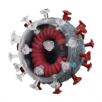 4D Covid-19 Model