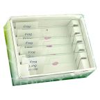 Frog Specimen Slide Set - 5 Slides
