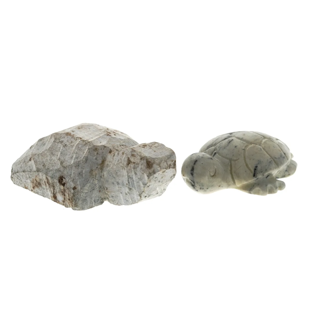 Carve your own turtle