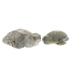 Soapstone Carving Kit - Turtle