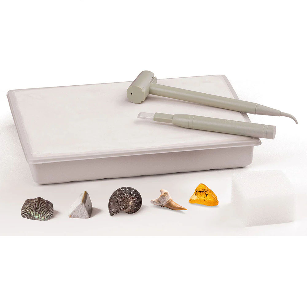 Find a Fossil Dig Kit