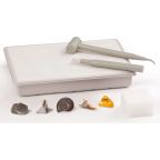 Real Fossils Dig Kit