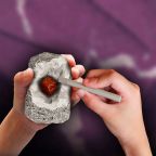 Rocks & Fossils Egg Dig Kit