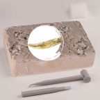 T-Rex Tooth Dig Kit