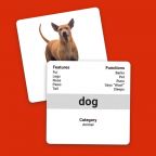 First Nouns - Picture Flash Cards