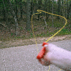 Zip String Fidget