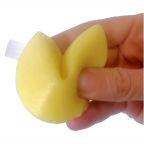 Squishy Fortune Cookie