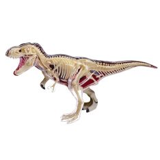 Anatomy of a T-Rex