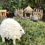 Wool Sheep with Removable Coat