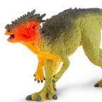 Dracorex