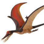 Rhamphorhynchus