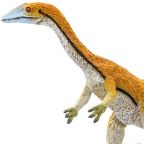 Coelophysis