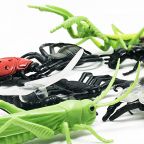 Insect Medley