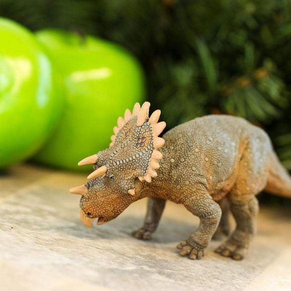 Herbivores
