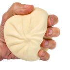 Large Dumpling Squishy