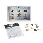 Fossil Discovery Set