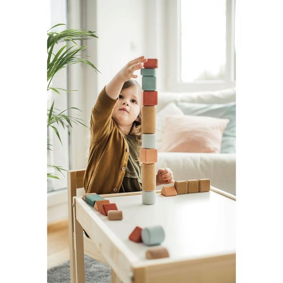 Building Toys