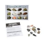 Metamorphic Rock Collection