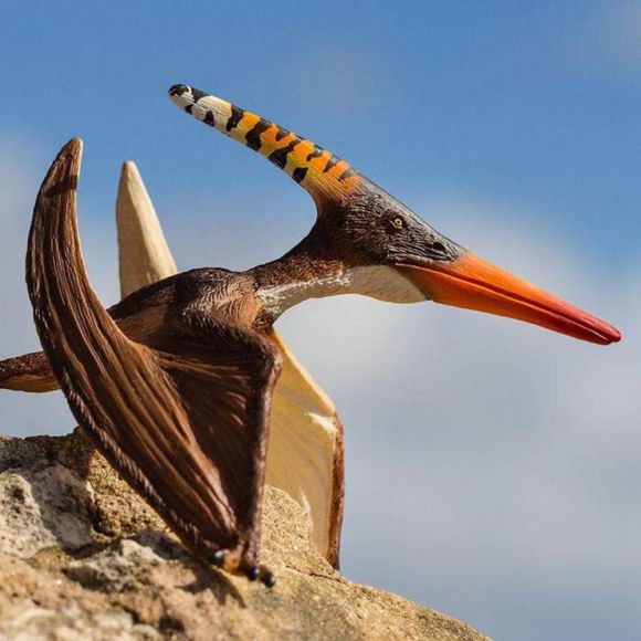 Flying Reptiles