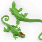 Small Four-legged Reptiles