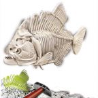 Glow in the Dark Prehistoric Piranha Dig Kit
