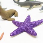Tiny Sea Creatures