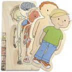 Boy Anatomy 5-Layer Puzzle