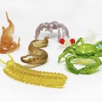 Cave Dwelling Creatures