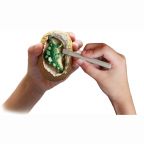Dino Egg Excavation Kit