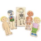 Girl Anatomy 5-Layer Puzzle