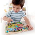Turtle-shaped Color Sorting Maze