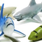 Small Sharks