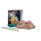 Stegosaurus Dig Kit