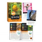 Go Fish for Backyard Birds