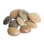 Wooden Stones